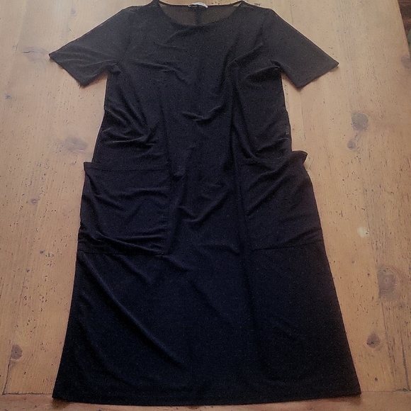 Zara Dresses & Skirts - Zara Short Sleeve Sheer Midi Dress